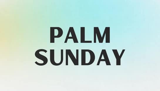 <span>🌴 </span>March 29 | 10:30 AM + 12:30 PM<br><i>Vive Kids Performance</i>